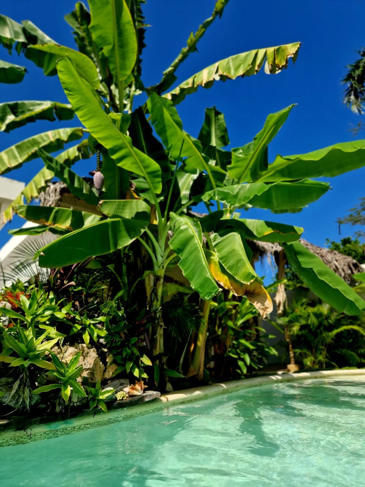 Mini-Villa COSON / Private JACCUZZI et Pool