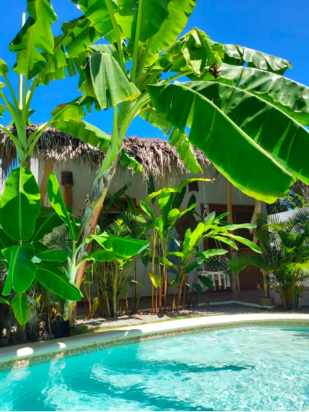 Mini- Villa BONITA / chic COCOON et tropical Oasis