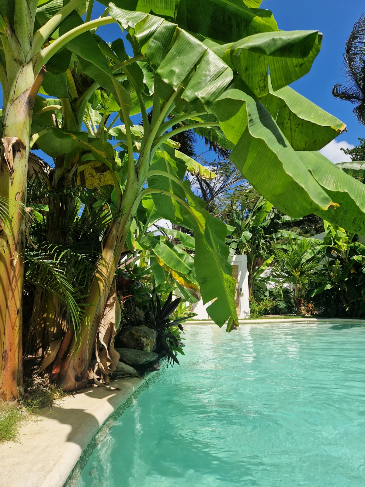 Mini- Villa POPY / quiet PARADISE et Pool