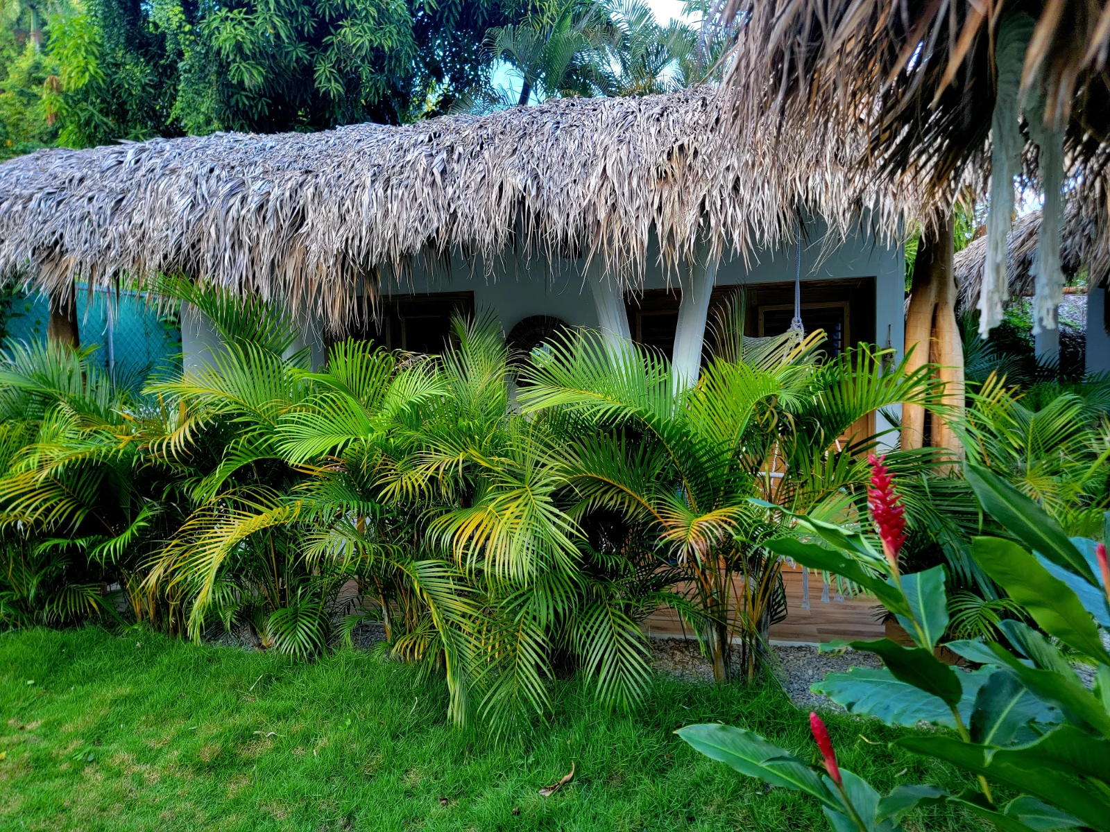 PAR 2 MINIS VILLAS / DUO MINIS VILLAS OASIS TROPICAL ET POOL ACCESS