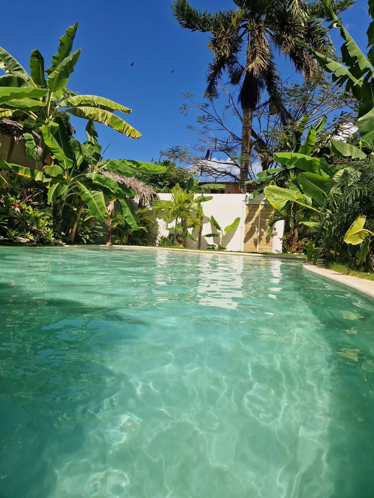 PAR 4 MINIS VILLAS / GROUP GETAWAY 4 PRIVATE MINIS VILLAS ET POLL ACCESS