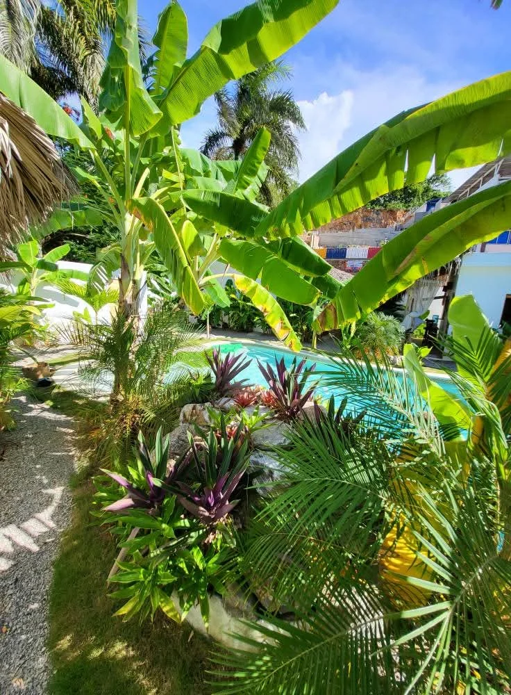 PAR 2 MINIS VILLAS / DUO MINIS VILLAS COSY BOHEME ET POOL ACCESS