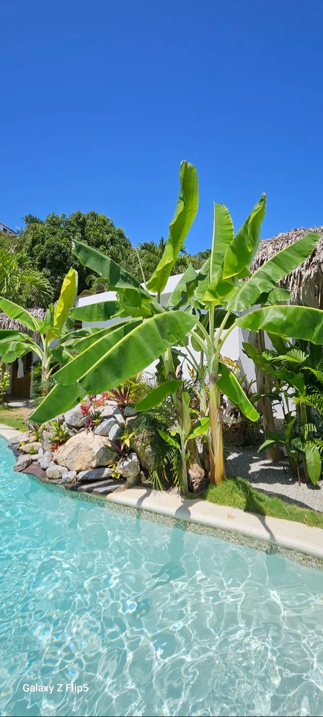 PAR 2 MINIS VILLAS / DUO MINIS VILLAS COSY BOHEME ET POOL ACCESS